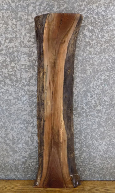 Black Walnut Live Edge Rustic Entry/End/Side Table Top Slab 1747